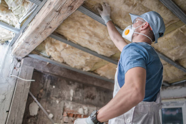 Best Affordable Insulation Services  in Brackenridge, PA