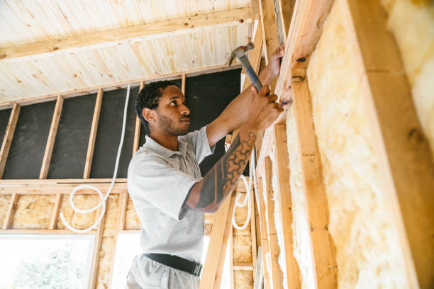 Best Insulation Removal  in Brackenridge, PA