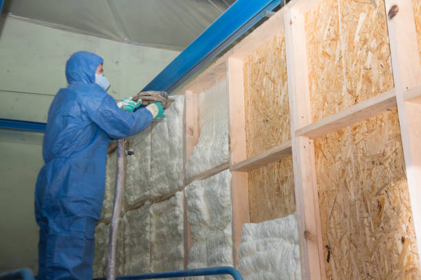 Best Home Insulation Services  in Brackenridge, PA