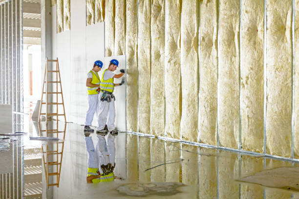 Best Local Insulation Services  in Brackenridge, PA